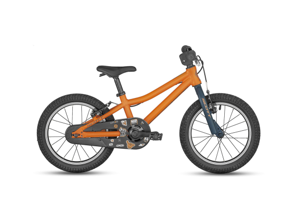 Scott Roxter 16 2024