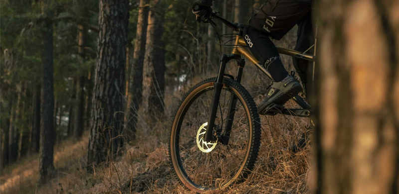 Format 1322 – хардтейл со стальным характером