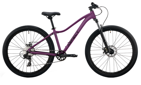Aspect Oasis 27.5 2027 Фиолетовый