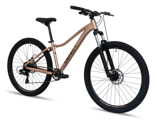 Aspect Oasis 27.5 2026 Бежевый