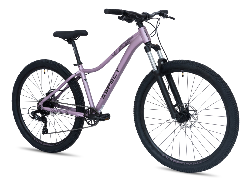 Купить Aspect Oasis Pro 26 2026 Фиолетовый Артикул 4660447850734