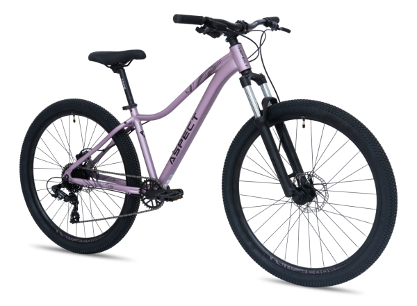 Aspect Oasis Pro 26 2026 Фиолетовый