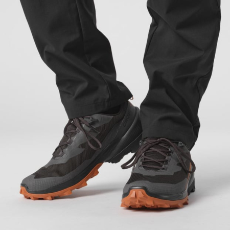 Кроссовки Кроссовки Salomon Cross Over 2 GTX Magnet/Phantom/Spice Route Артикул L47265034, L47265029, L47265035, L47265032, L47265031