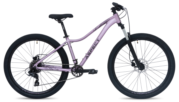 Aspect Oasis Pro 27.5 2026 Фиолетовый