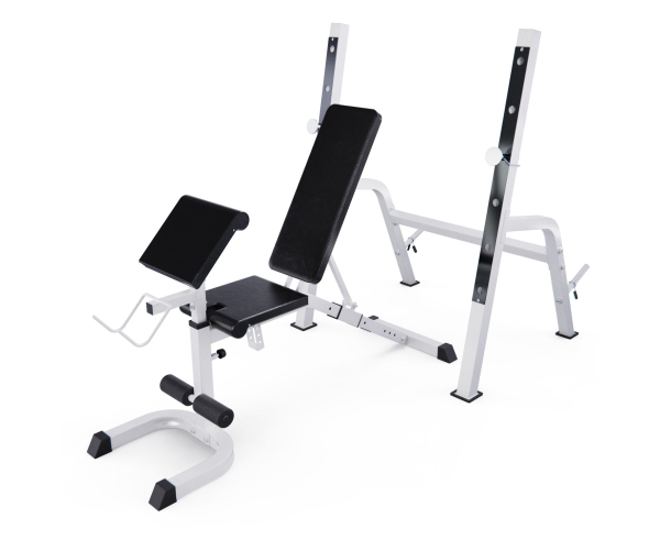 Скамья под штангу DFC GORILLA 201321W