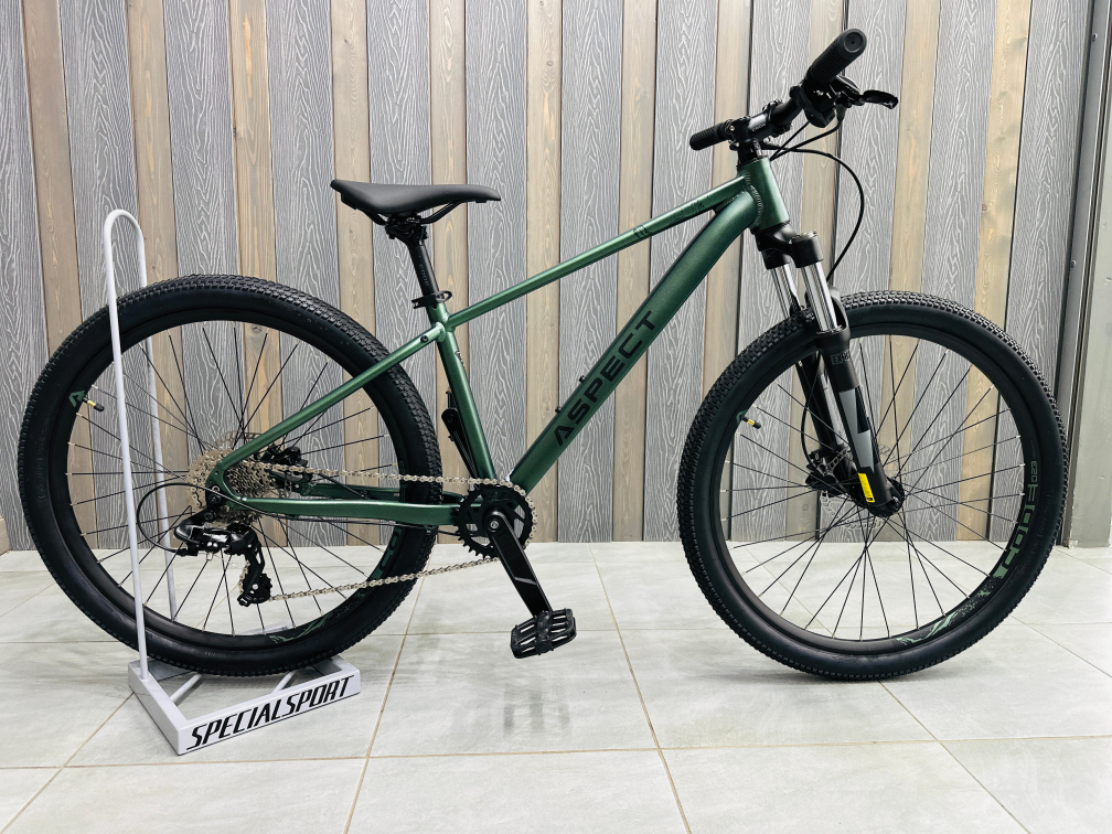 Купить Aspect Nickel 26 2026 Зелёный Артикул 4640258349764, 4640258349771