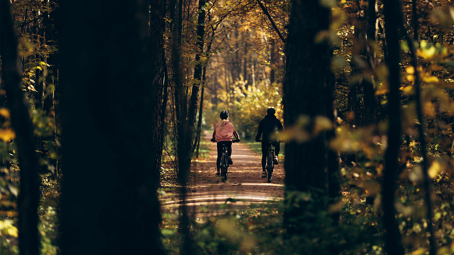 Format 1415 29 2021 зеленый