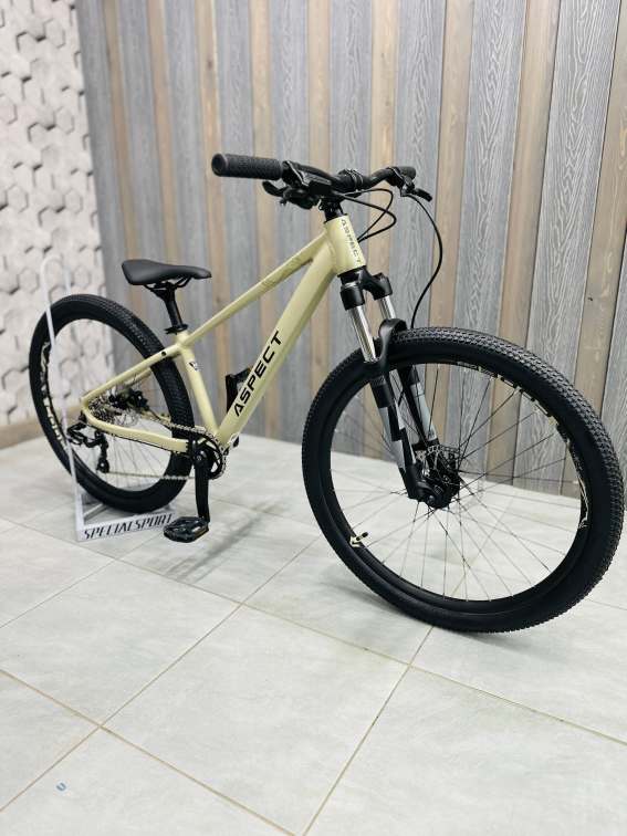 Купить Aspect Nickel 26 2026 Бежевый Артикул 4640258349801, 4640258349818
