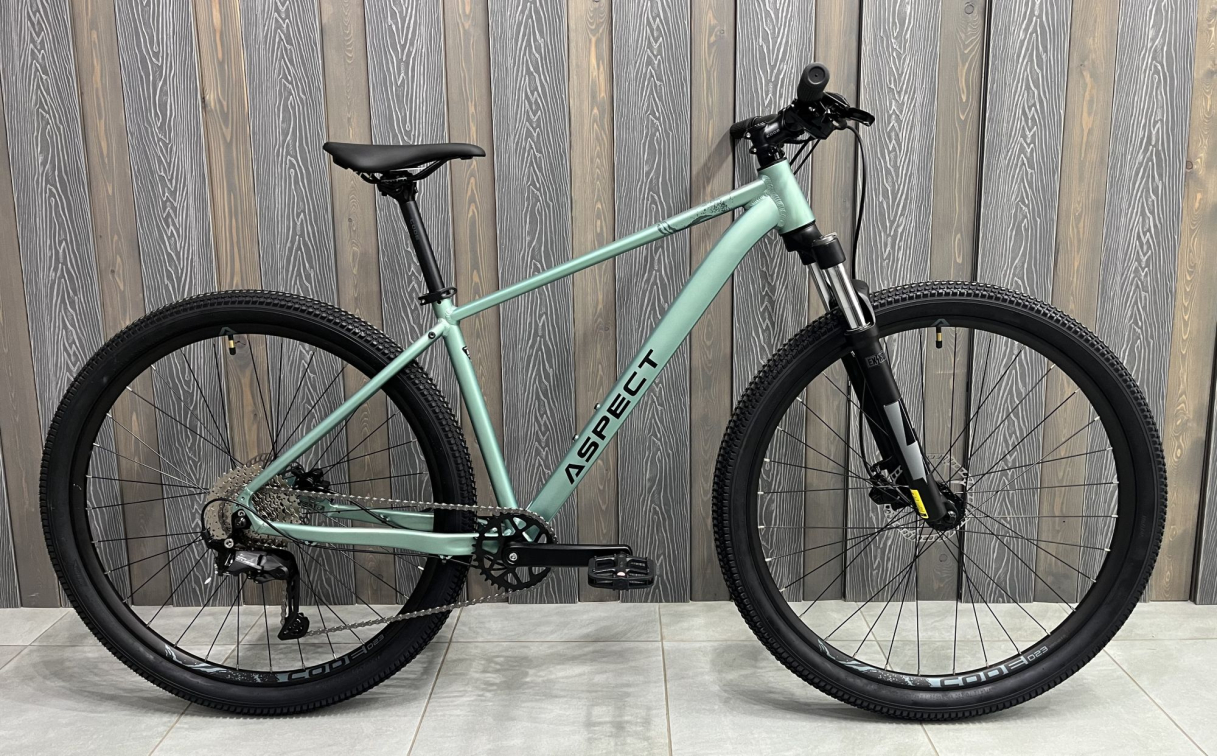 Купить Aspect Nickel Pro 29 2026 Зелёный Артикул 4640258349719, 4640258349702, 4640258349726