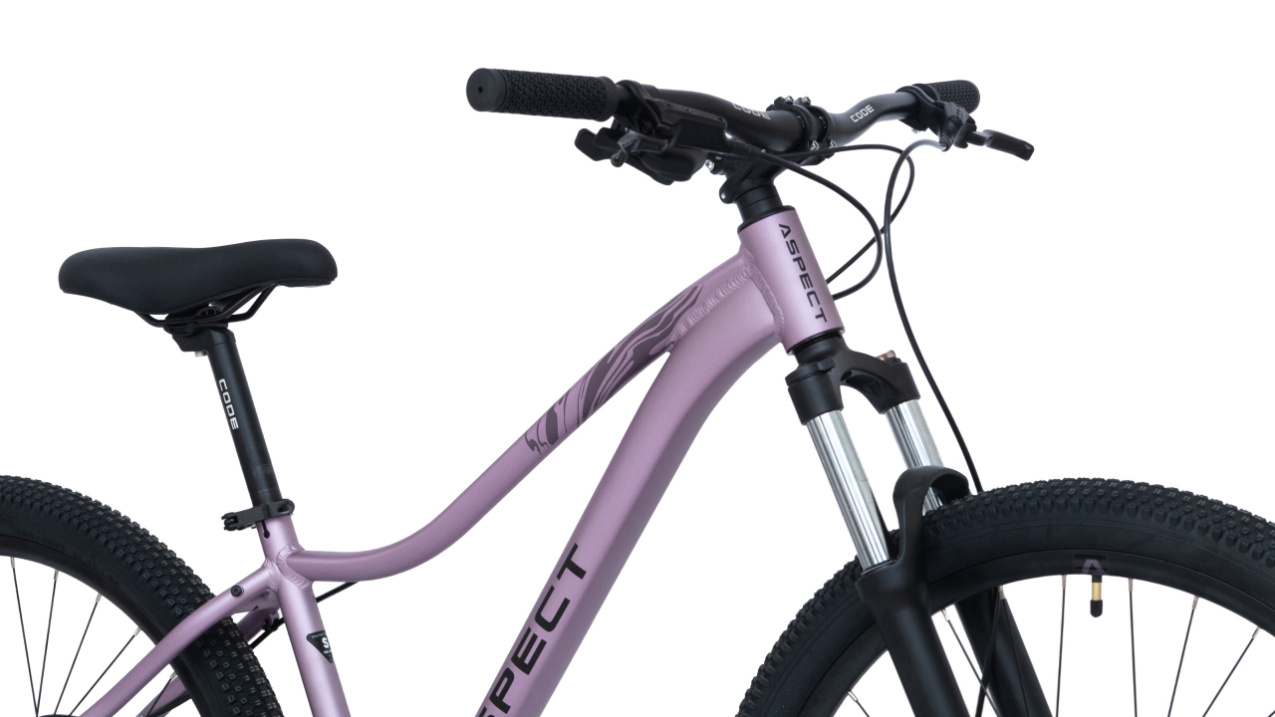 Купить Aspect Oasis Pro 26 2026 Фиолетовый Артикул 4660447850734