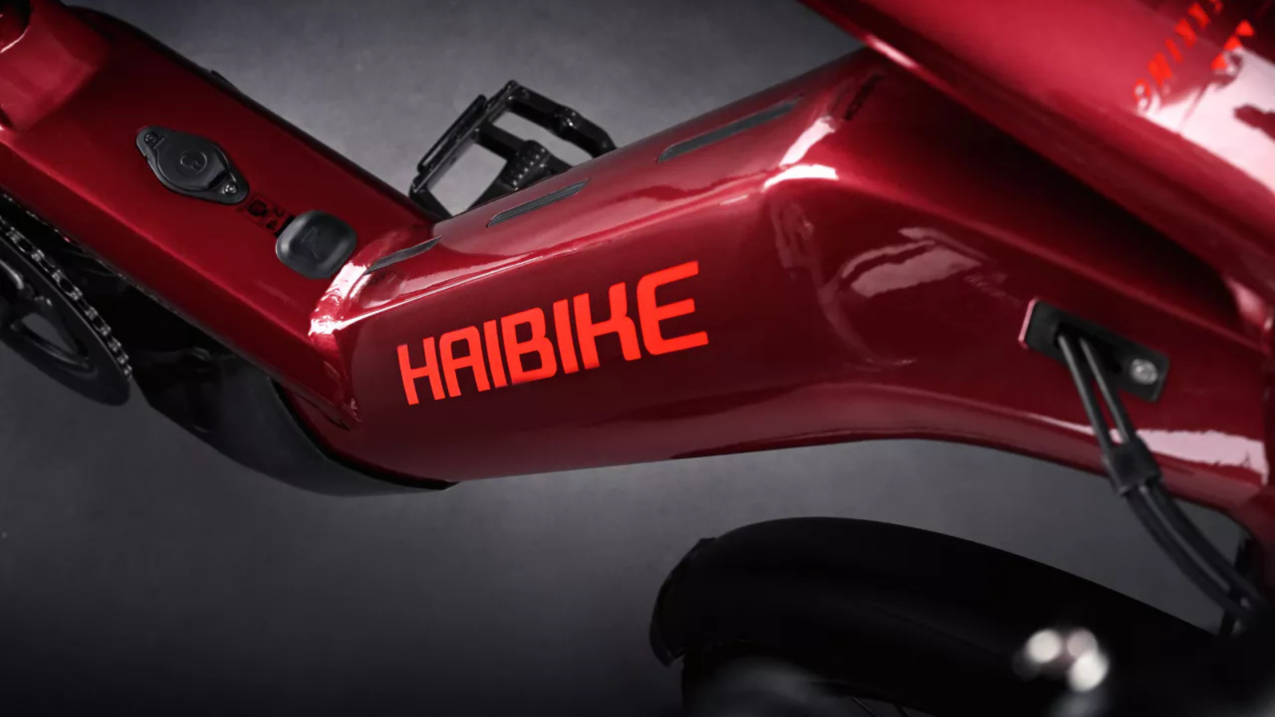 Электровелосипеды с двигателем Bosch, Yamaha, Shimano HAIBIKE Trekking 11 i750Wh 12-G Sram GX Eagle Tuscan/Neon Red  Артикул 45568360, 45568350