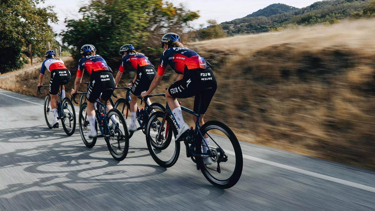 рама Specialized S-Works Tarmac SL8 2025 FDJ-SUEZ 2025 Team Color and Graphics