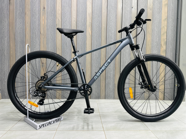 Aspect Radium 27.5 2026 Серый