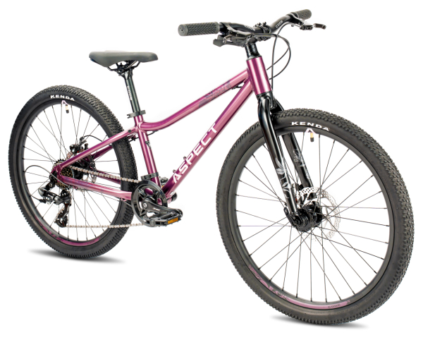 Aspect Aura Lite 24 2026 Фиолетовый