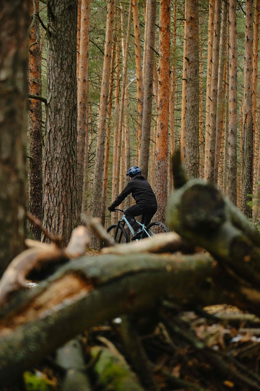 Format 1211 27,5 2022 синий