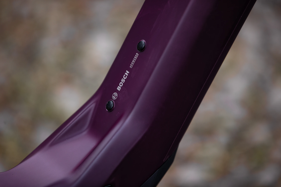 Электровелосипеды с двигателем Bosch, Yamaha, Shimano Superior iXF 9.8 2024 Matte Carbon Berry Артикул 801.2025.79004, 801.2025.79002