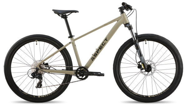 Aspect Nickel 29 2026 Бежевый