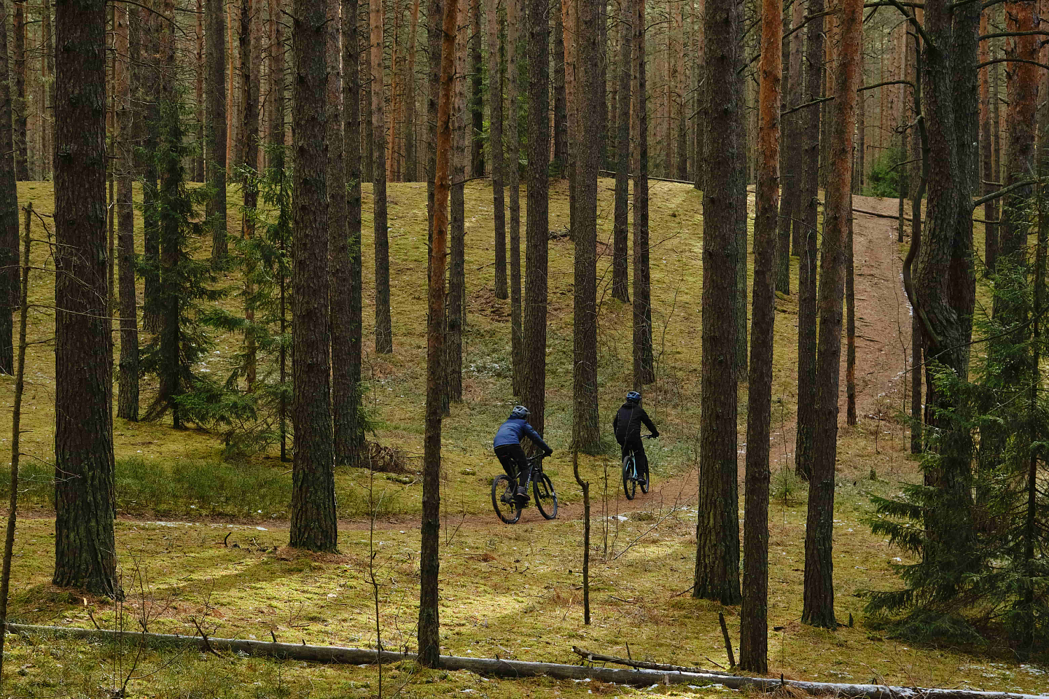 Format 1211 29 2022 синий