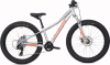 24 дюйма (7-11 лет) Specialized Riprock 24 2020 Артикул B6516-8411, B6516-8711, 96519-8211, 96519-8311, B6516-8511, B6516-8611