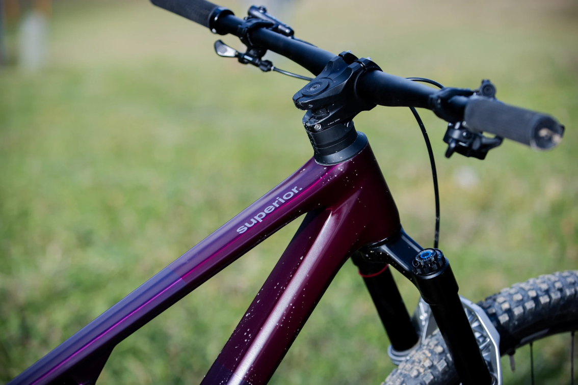 Купить Superior XF 9.7 DC 2024 Matte Carbon Berry Артикул 801.2024.29169, 801.2024.29168