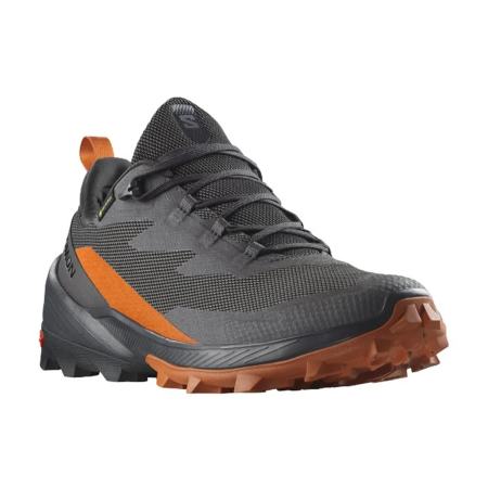 Кроссовки Кроссовки Salomon Cross Over 2 GTX Magnet/Phantom/Spice Route Артикул L47265034, L47265029, L47265035, L47265032, L47265031