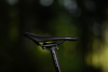 Купить Superior XP 9.8 2025 Matte Carbon/Dark Chrome Артикул 801.2025.29071, 801.2025.29074, 801.2025.29073, 801.2025.29072