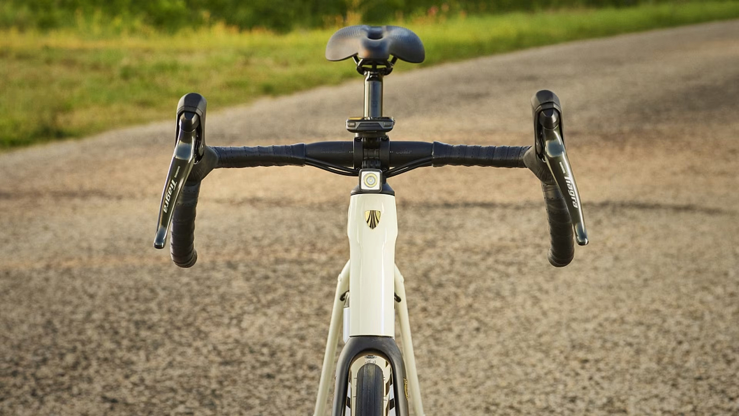 Trek Domane AL 2 Gen 4 Crimson to Dark Carmine Fade