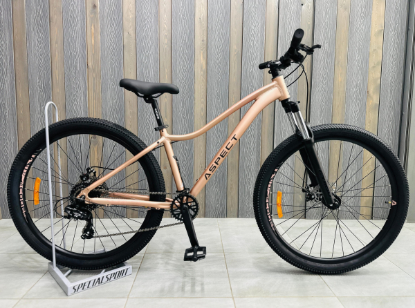 Aspect Oasis 27.5 2026 Бежевый