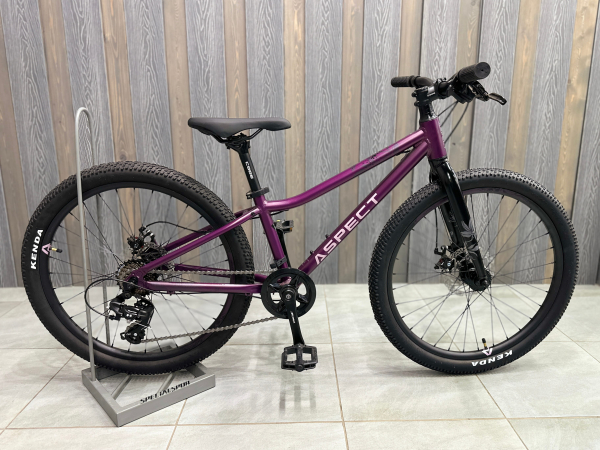 Aspect Aura Lite 24 2026 Фиолетовый