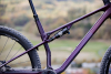 Купить Superior XF 9.7 DC 2024 Matte Carbon Berry Артикул 801.2024.29169, 801.2024.29168