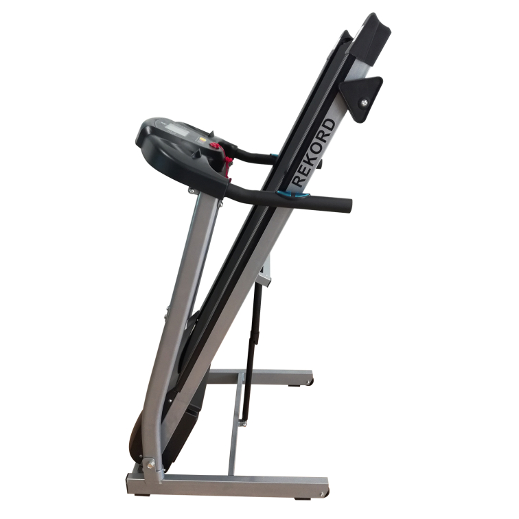 Беговые дорожки DFC REKORD T190 Артикул 