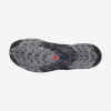 Кроссовки Кроссовки Salomon XA PRO 3D v9 GTX Black/Phantom/Pewter Артикул L47270137, L47270129, L47270133, L47270132, L47270130, L47270127, L47270135, L47270131
