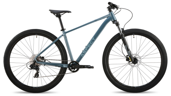 Aspect Nickel 29 2026 Серый