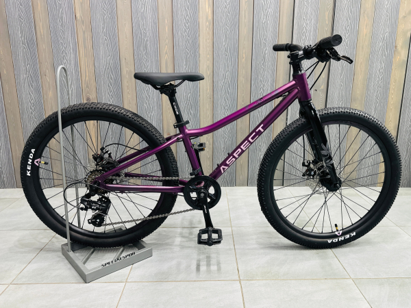 Aspect Aura Lite 24 2026 Фиолетовый