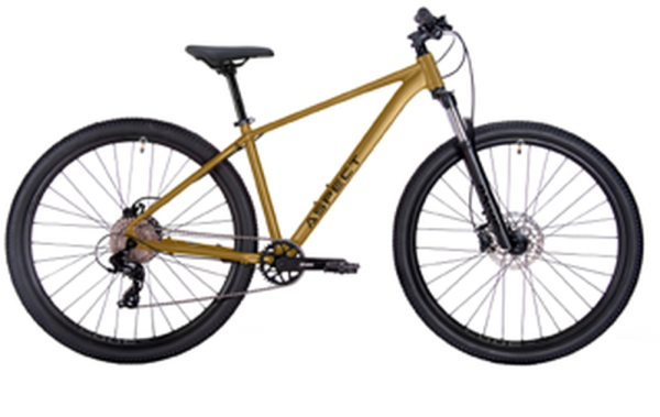 Aspect Radium Pro 26 2027 Золотой