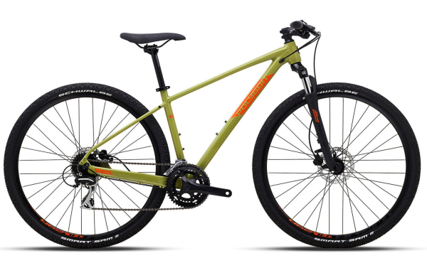 Polygon Heist X2 2022 Green