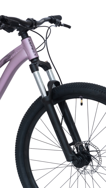 Купить Aspect Oasis Pro 26 2026 Фиолетовый Артикул 4660447850734