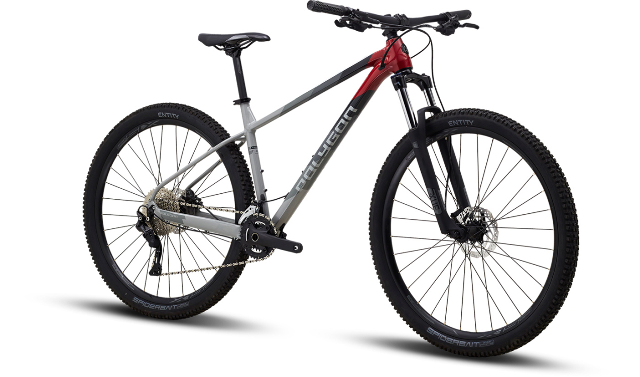 Купить Polygon Xtrada 5 29 2023 Красный/Серый Артикул AIBPX29XT5500 XL RED/GRY BA, 8994981049931, 8994981049948