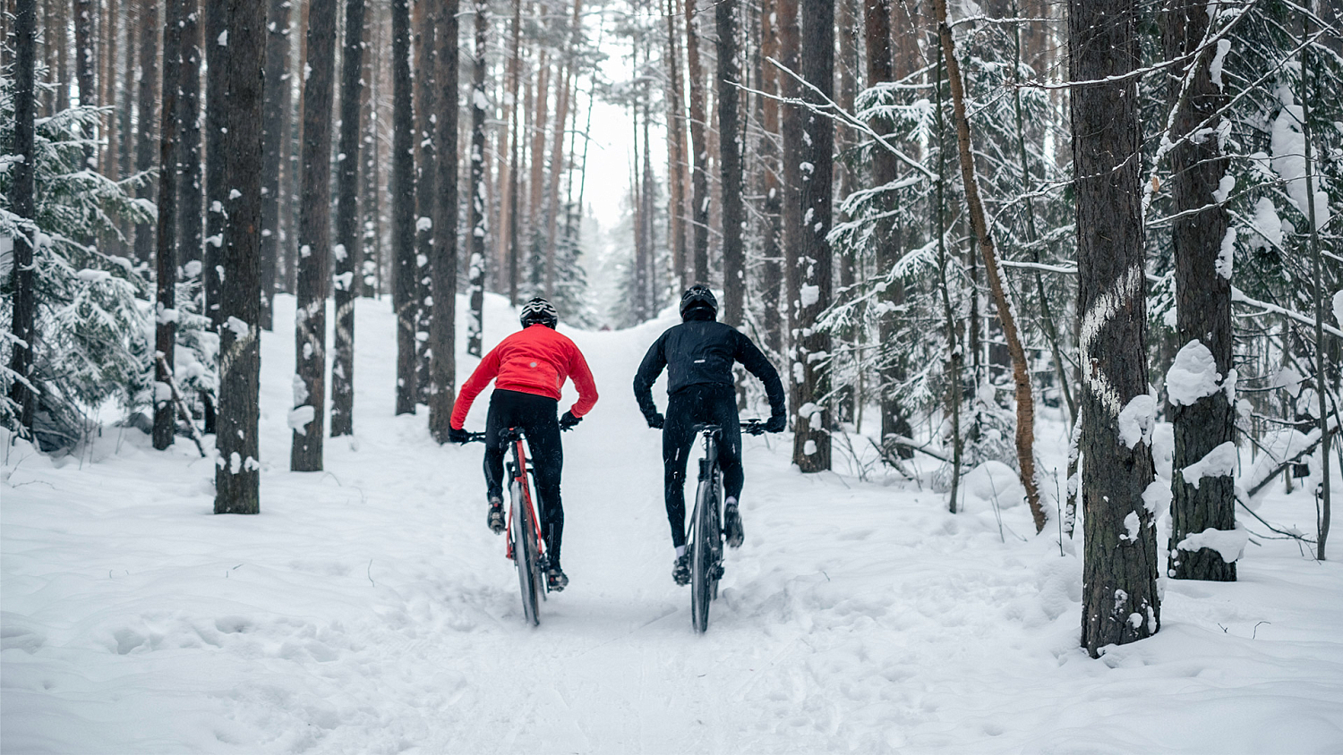 Format 1122 29 2022 красный