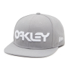 Шапки, кеппи, бейсболки Кепка Oakley Mark II Novelty Snap Back Matte Light Gray Артикул 