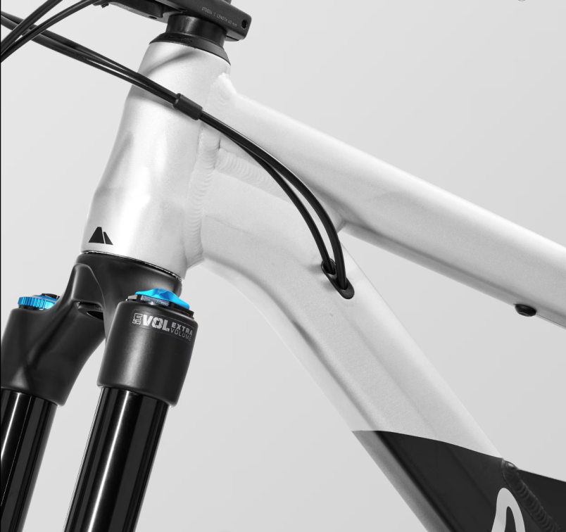 Купить Canyon Spectral 125 AL 8 Real Raw  Артикул 