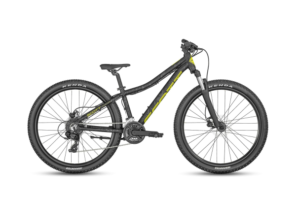 Scott Roxter 26 disc 2024